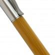 Caneta Esferográfica de Bambu - 1-CA-02